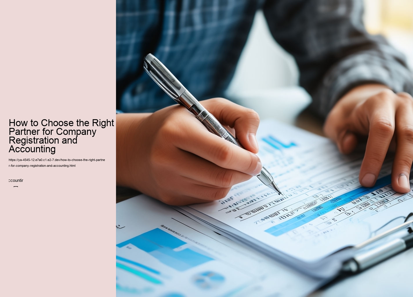 How to Choose the Right Partner for Company Registration and Accounting